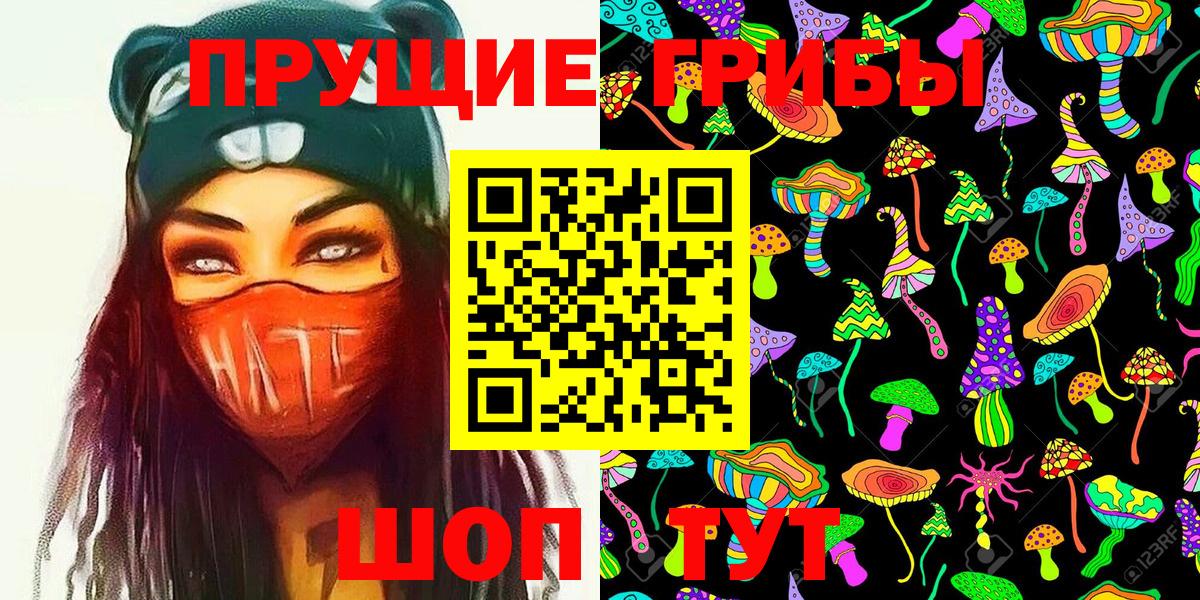 Псилоцибиновые грибы Psilocybe  Вход с VPN  Кизляр 